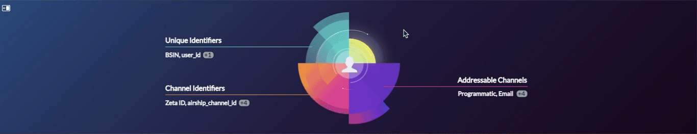 Profile_identity_nucleus_new.gif