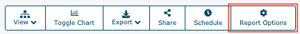 Report Options.png