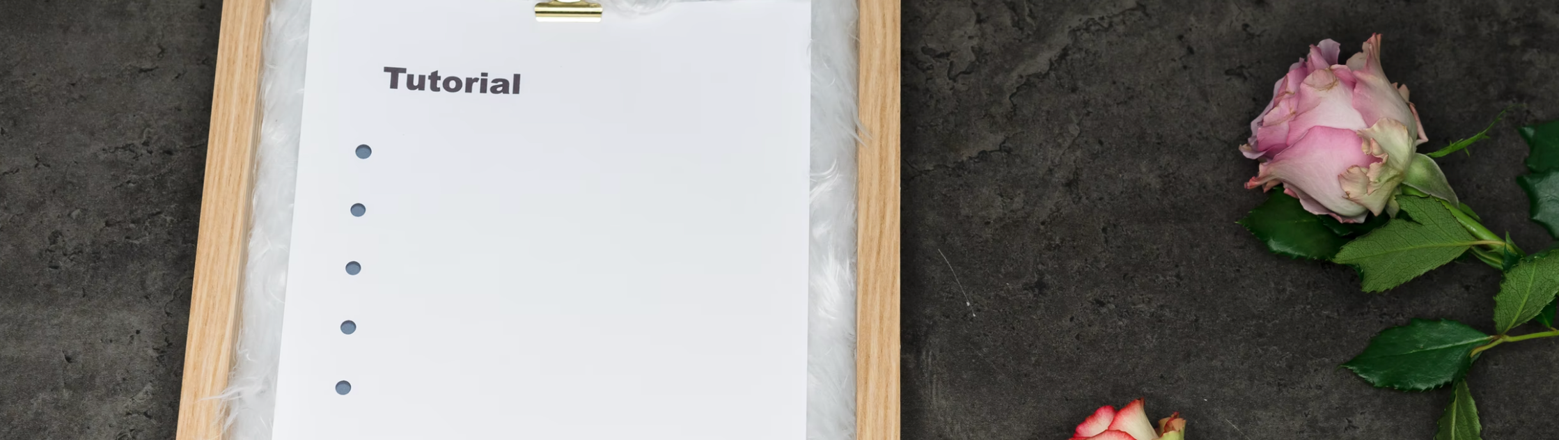 bacc0397-22a7-425c-b916-e5777c624b34.png